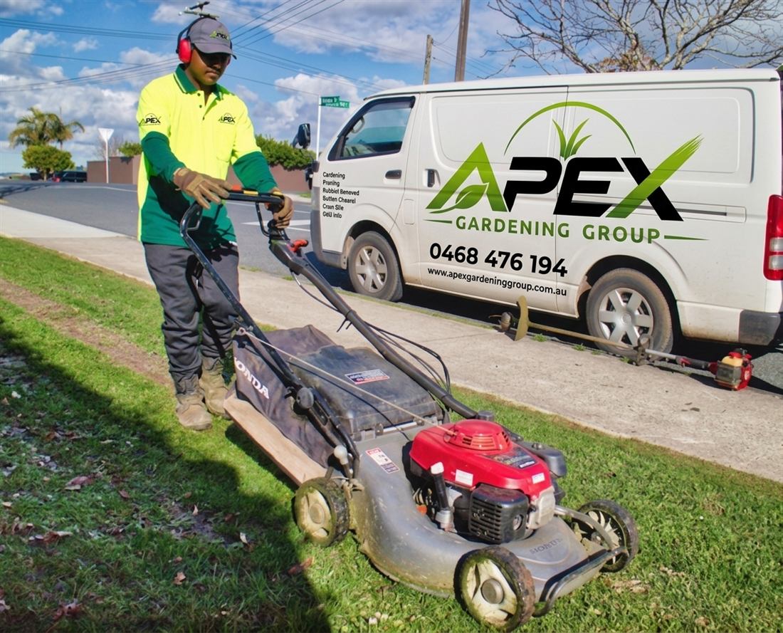 Apex Gardening Group operator mowing a lawn in the Sutherland Shire beside the sign-written Apex van