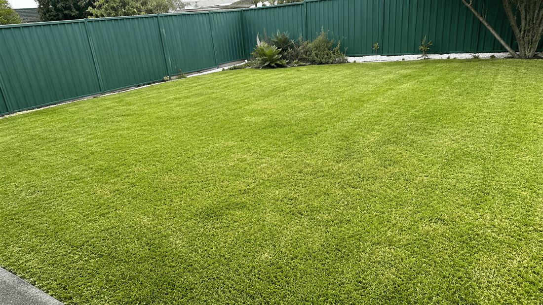 Freshly mowed backyard lawn with clean fence-line edges by Apex Gardening Group
