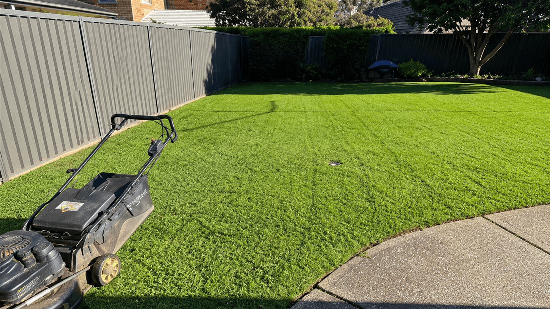 Neatly mowed backyard lawn beside a curved concrete path after an Apex Gardening Group visit
