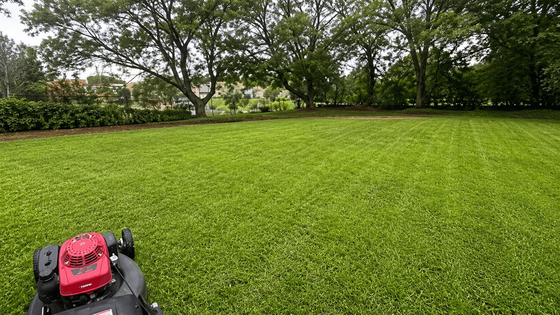 Large freshly mowed open lawn with even mowing lines by Apex Gardening Group